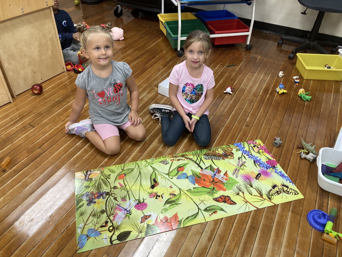 Caba’s Kindergarten tweet media