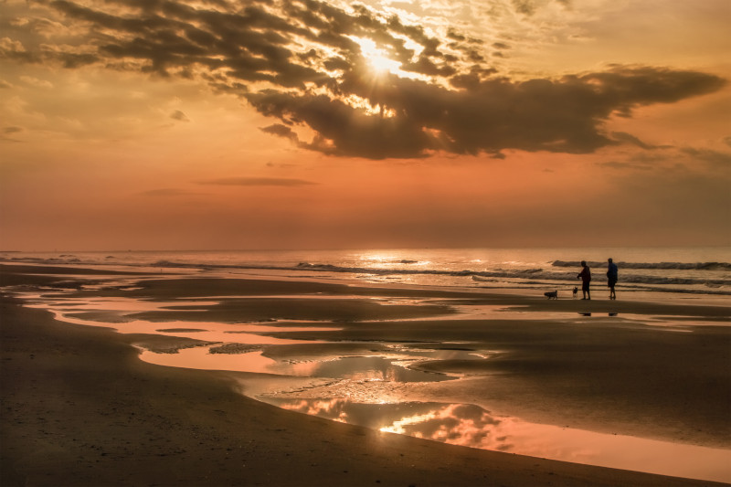 Discover_SC's tweet photo. From oyster roasts to horseback riding along the shore, here are 10 reasons to discover South Carolina in the fall. https://t.co/b0nYZWzDnQ #DiscoverSC #FallinSC https://t.co/3qAid5Gosm