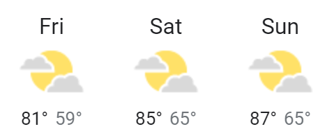 MiSCA_bike's tweet photo. MiSCA Pre-Race Update #3 🚲 Bloomer Park
Check out all the details for the Fraser Bicycle 2022 MiSCA Bloomer Park race. Prepare for the heat this weekend! The balance bike race is back!

https://t.co/ZKofb1E4X3 https://t.co/wgfghTHvRF