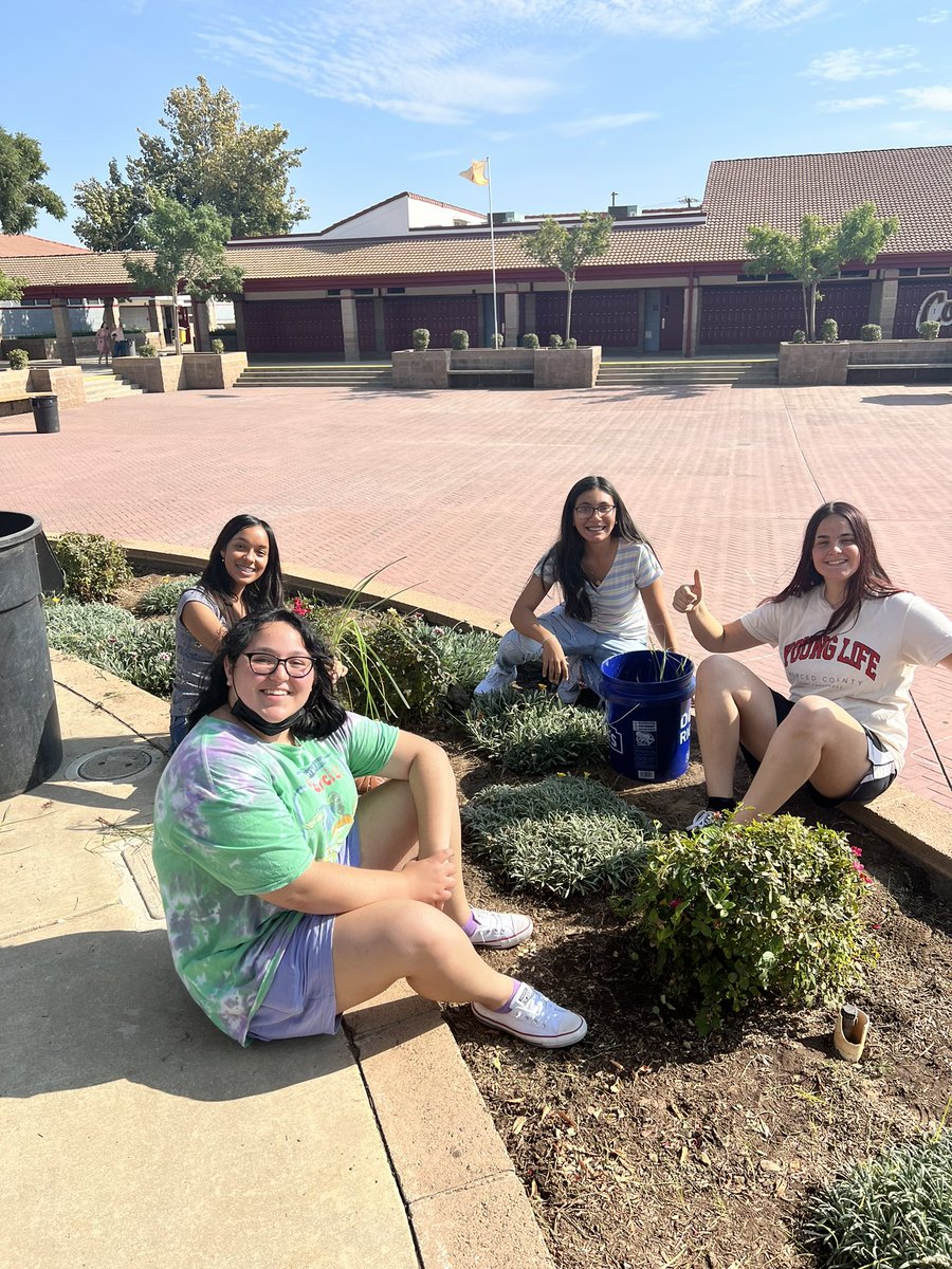 Lindsay Parker tweet media