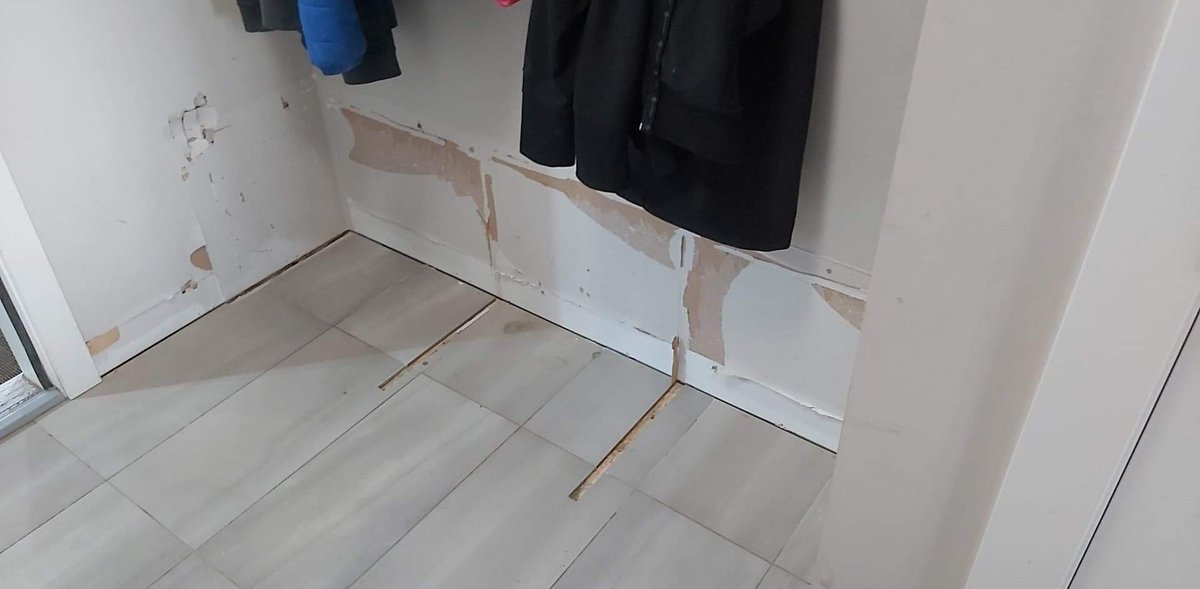 Abbey Cruikshank tweet media