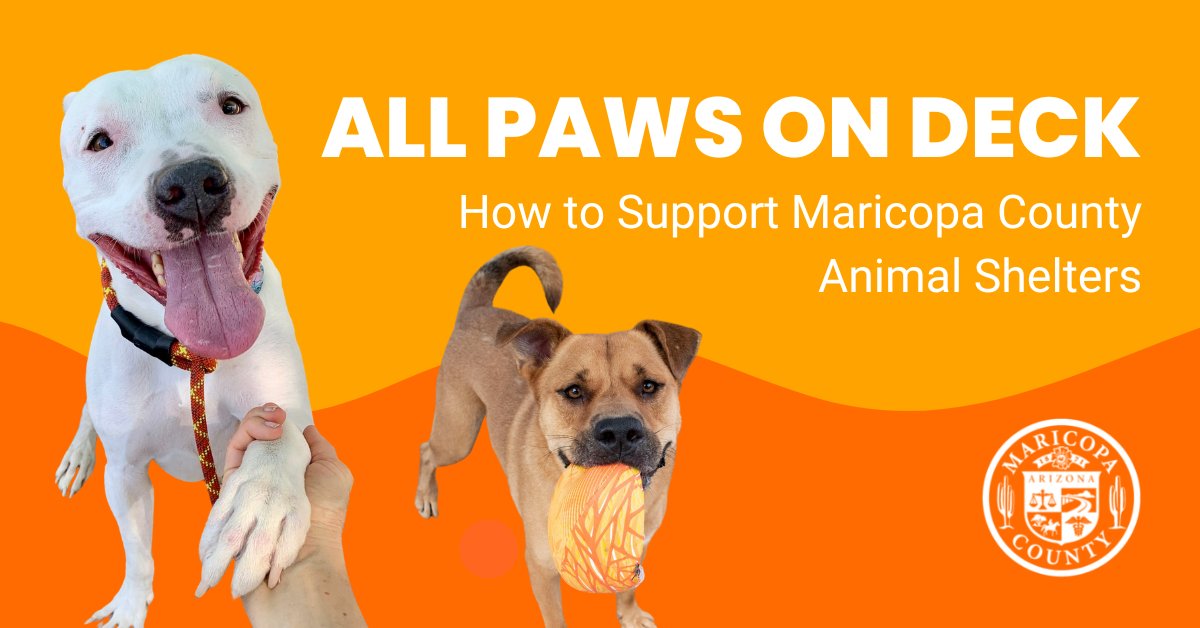 maricopacounty's tweet photo. It's all hands (and paws) on deck at @MCanimalcare shelters as they face critical capacity, with 855 animals in their care.
Spread the word and follow this link to learn how you can help: https://t.co/kB4AioZRm6 https://t.co/0ZZ3MlGGLU
