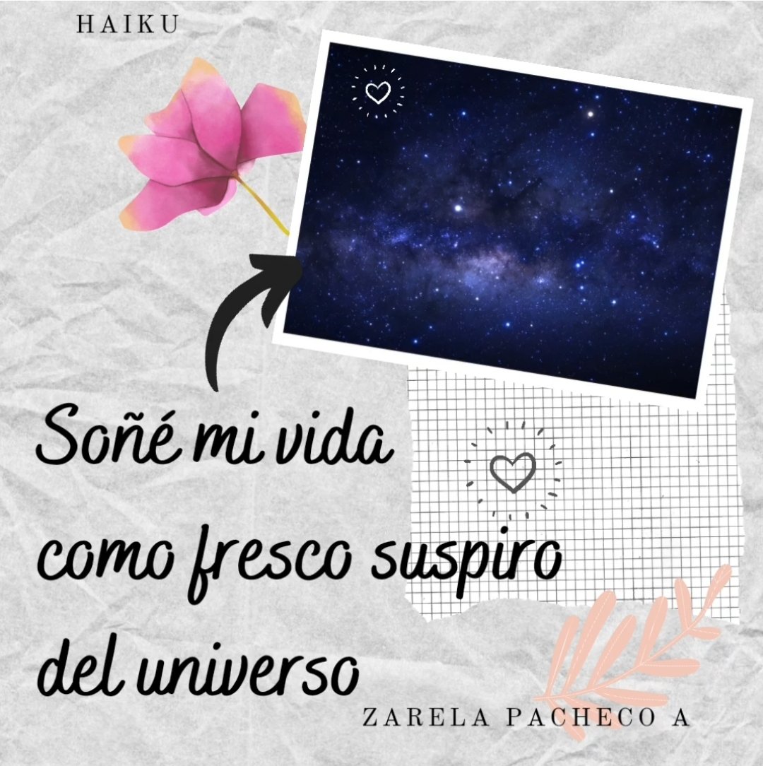 Zarela_Pacheco's tweet photo. ✍️📖💕
#haiku
#microrrelato
#microcuento
#poesía
#literatura
#microlectura
#minicuento
#poesíamínima 
#lectores
#minilectura
#poesíahaiku
#aforismo
#creemosenloslibros
#leer
#libro
#book
#escritora
#ilovebook
#poetry
#editorial
#librería
#zarelapacheco
#queleocurauma
#Brevemente https://t.co/5LsiOZar0S