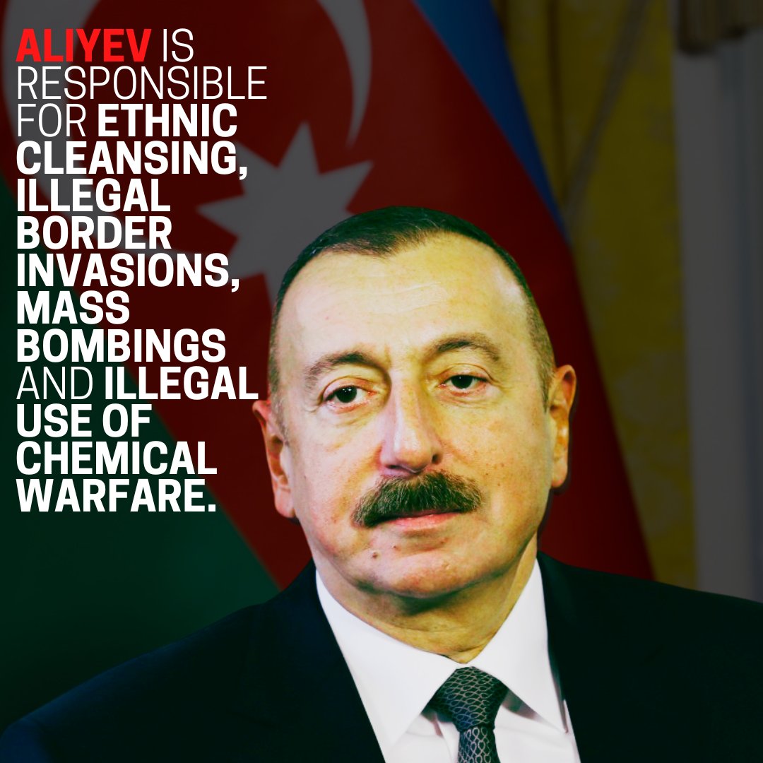 tamara_kotoyan🇦🇲🇦🇺 tweet media