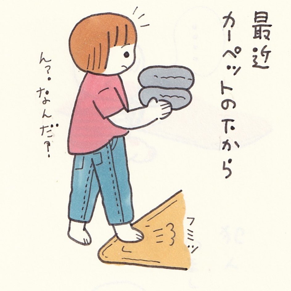 確実に違和感ある時と、まったく気がつない時と隠しのクオリティには差があります(笑)カーペット&amp;カーペット下汚い🤪🤪 