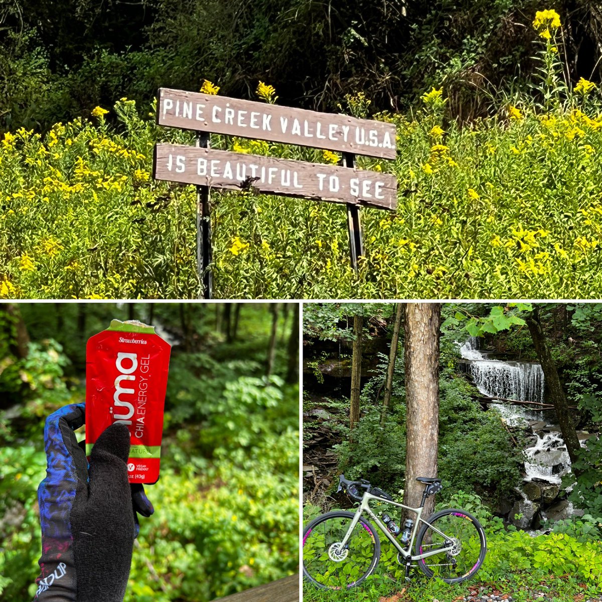 amandaheadlee's tweet photo. Strawberries and waterfalls make for an incredible gravel ride.
Back to reality today. Missing the mountains…
@handupgloves @LivCyclingWorld #humabeing #humagel #pinecreekgorge #grandcanyonofpa #gravelbikes #waterfalls #poweredbynature https://t.co/CQkggGJcin