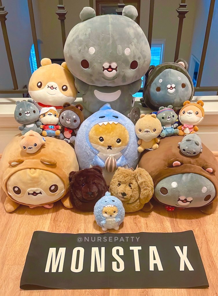 NursePatty's tweet photo. Family photo with #Nunugom, #Hamgom &amp; #안녕곰 as we welcome #HAMSANGYI &amp; #HAMSGYI! 💘💘

Welcome to the family! Hope you enjoy your time in Florida ☀️🌴☀️🌴

#SHOWNU #셔누 #KIHYUN #기현 #SHOWKI #MONSTAX #Monbebe 💕🧸💕🐹💕🦈💕🐻 https://t.co/Ff7bRoTS6V