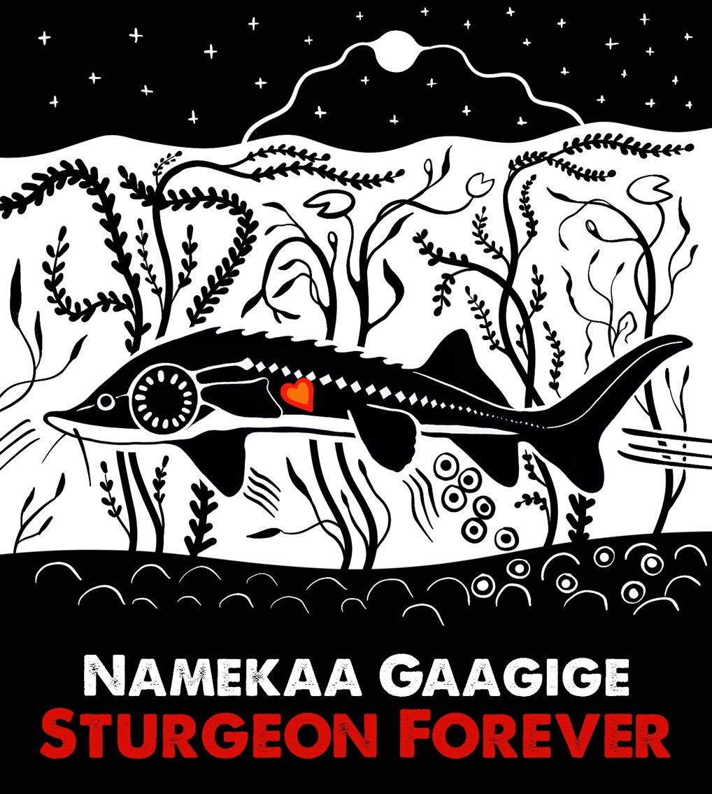 cbc.ca/newsinteractiv…. <a href="/NeskantagaFN/">Neskantaga First Nation</a>'s sturgeon stewardship protection program, namekaa gaagige launched this summer on the Attawapiskat River, with this gorgeous image by <a href="/christibelcourt/">Christi Belcourt</a>