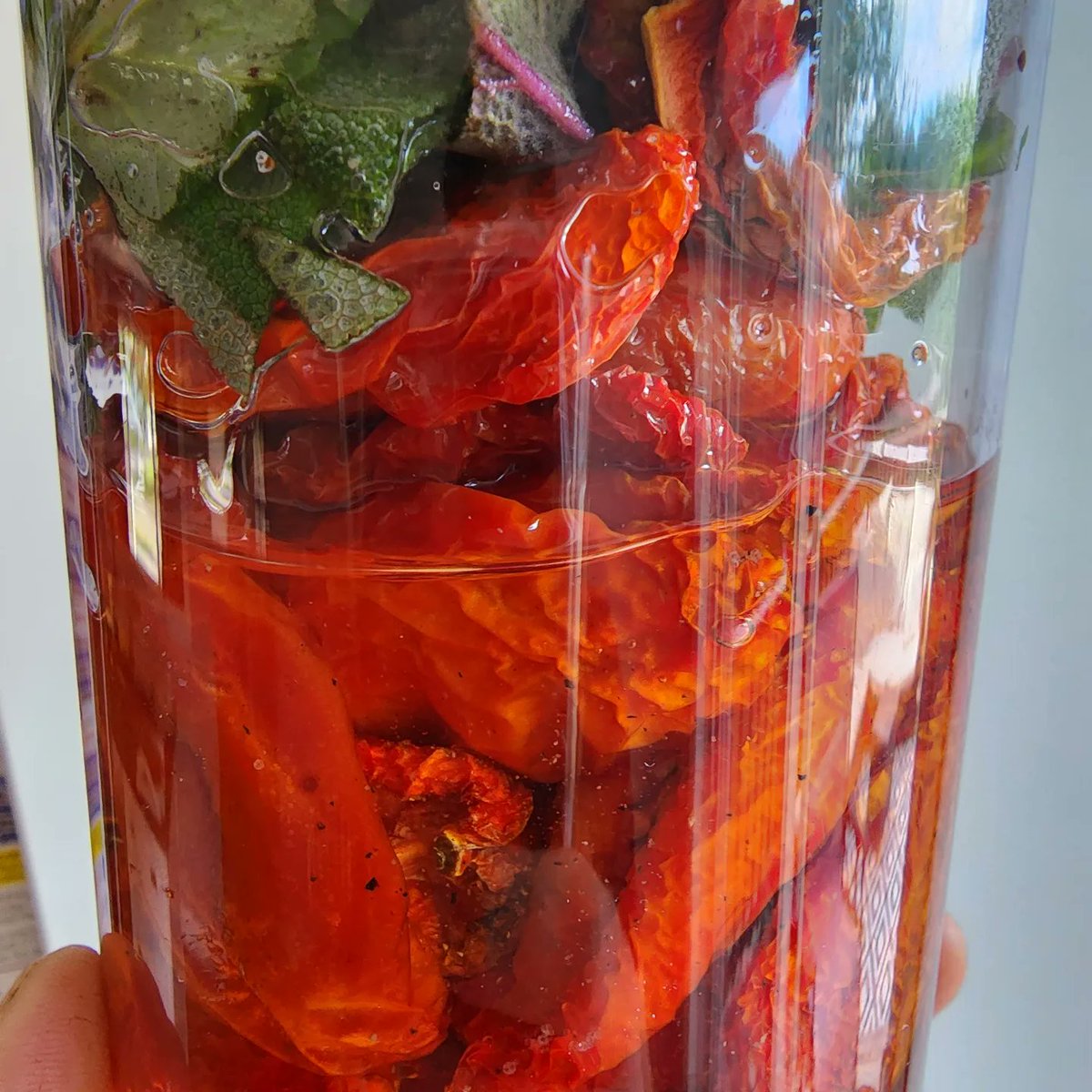 Pesto Change-O

This happened.

Dried roma tomato and sage pesto

Dried pear tomato and tarragon pesto

Cashew and every herb in my garden pesto (basil, chives, thyme, taragon, rosemary, sage, lavender)

#pesto