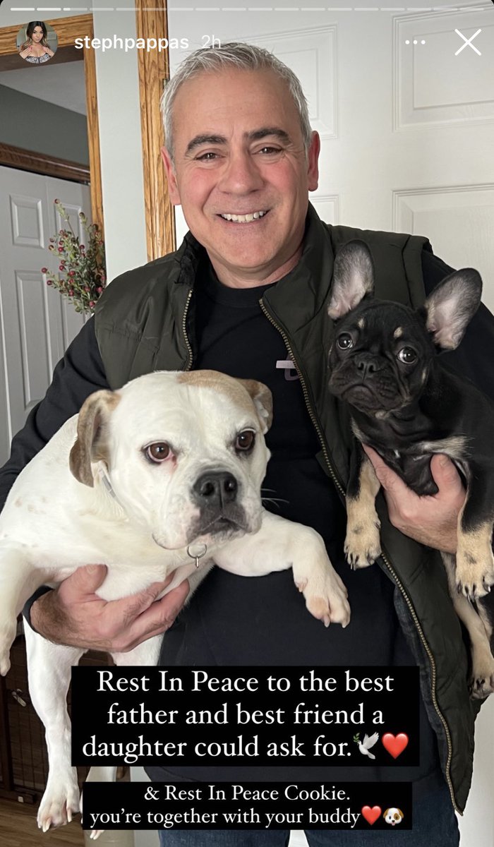 not steph pappas’s dad &amp; dog passing omg. ive been watching her for so many years &amp; loved how close she is with her parents &amp; how they genuinely seemed to enjoy each other’s company. his own youtube channel was so wholesome &amp; often included cookie in his videos. this sucks 💔