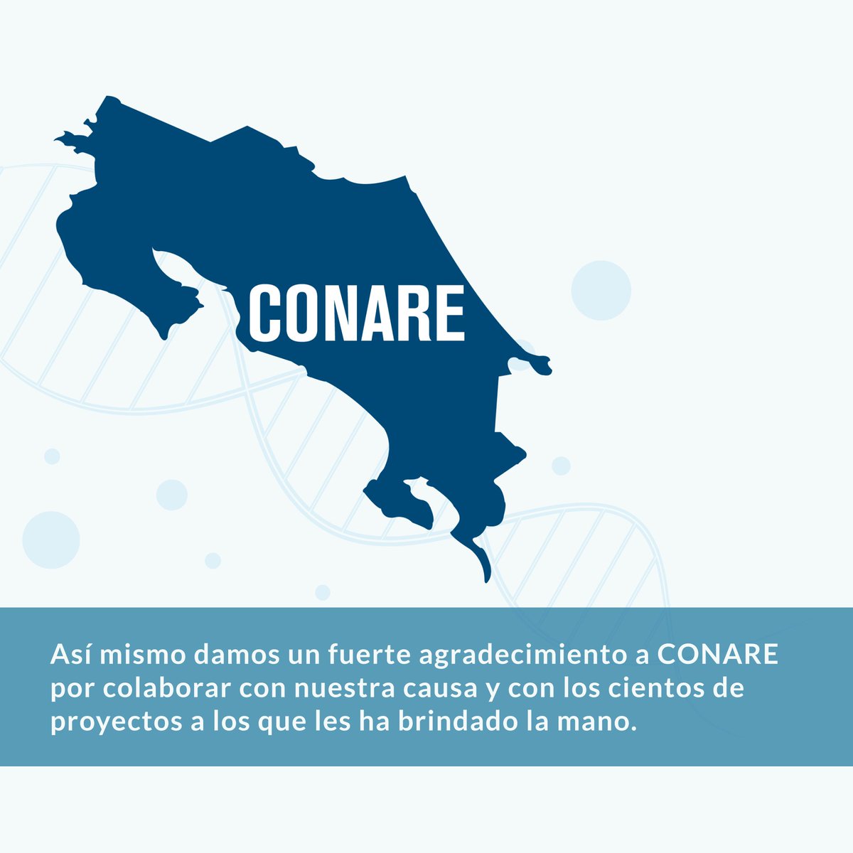 Biodomo Project tweet media