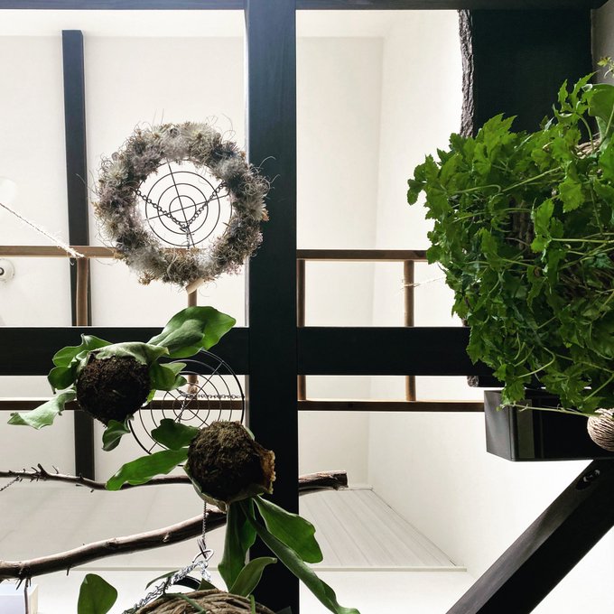 フラワーショップ カフェ Mille Eclat ミルエクラ 生花店 佐倉市 Tel 043 497 5649 なび千葉