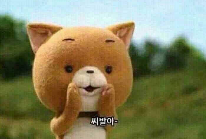 massisoyou's tweet photo. 🇰🇷 KUMPULAN MEME IN KOREAN 🇰🇷

A thread https://t.co/ouQLrSpwbb
