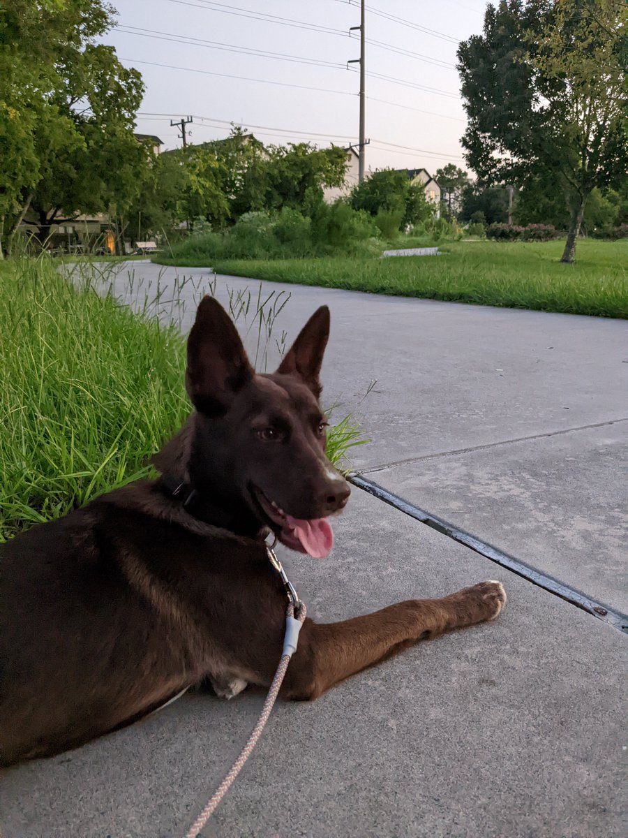 Katya Abazajian tweet media