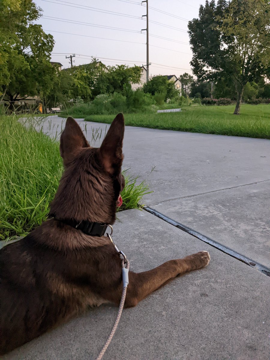 Katya Abazajian tweet media