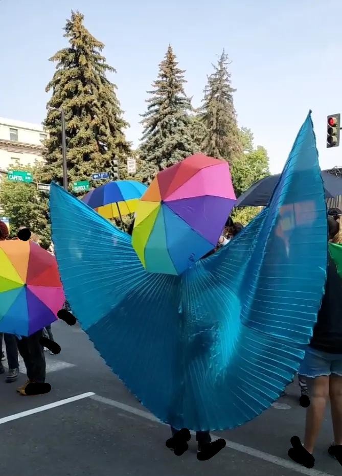 Boise delivered a new tactic in their defense of Pride on Sunday.

It was incredibly effective: in this screenshot taken from a hostile video, the event is completely obscured.

Well done, Pride defenders. 🖤