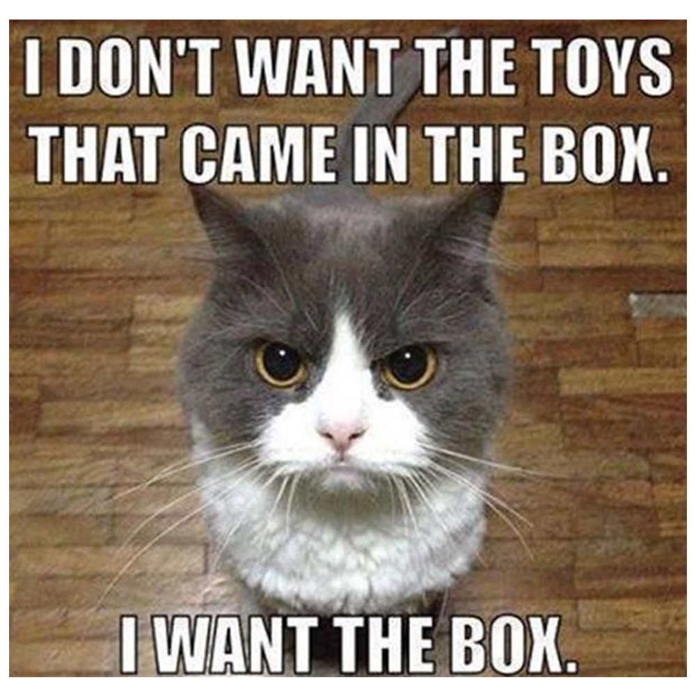 CocktailCritter's tweet photo. Should we make a tiger pin next?? 🐯

#cats #catsofinstagram #wildlife #funnycat #animals #bestcats #perfection #memeoftheday #memes #catmemes #funnycatmemes #catmom #catoftheday #catlife #catlove #funnymemes #catfarts #animalfarts #puppies #dogmemes #dogs #bigcats #tigermemes https://t.co/foOCWCCpwH