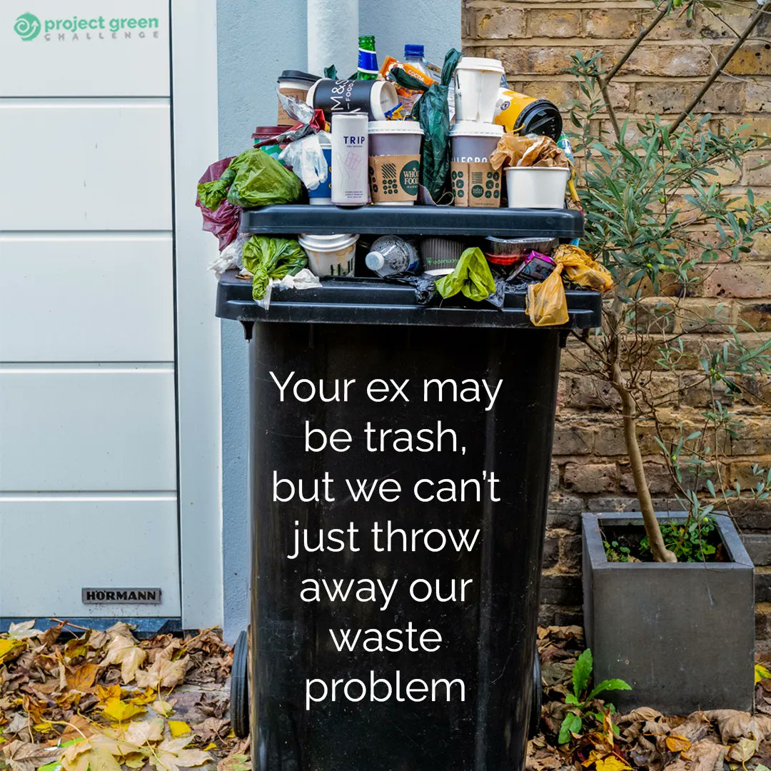 TurningGreenOrg's tweet image. Wise up! Do the best you can — when it comes to waste, relationships, activism, everything. While we can&apos;t be perfect, we can strive always to do better.

Join us for a crash course in a healthy relationship with the planet this Oct #ProjectGreenChallenge buff.ly/3L9uSKv