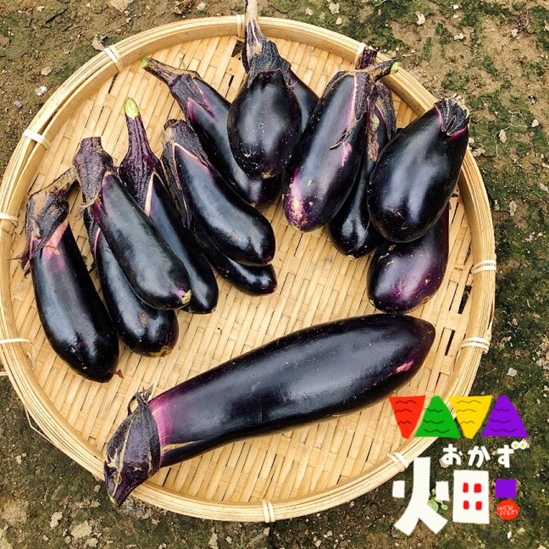 ポテトスケッチとおかず畑 のイラスト マンガ コスプレ モデル作品 6 件 Twoucan