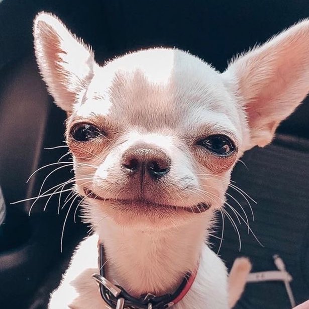 nanalmnalm's tweet photo. 쟈민이 mood

마끄론진젠오                 이동역
쥐송철러 https://t.co/64jmJgDpkr