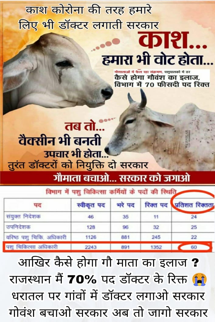 rajendradhayaI's tweet photo. #SaveCowSaveVillages पर अब तक38K ट्वीट हो चुके हैंऔर इंडिया में6नंबर पर ट्रेंड कर रहा हैं।यह सिलसिला रुकने नहीं देना है इस #टैग पर जितना हो सके उतना समर्थन करवाओ।
#पशुचिकित्साअधिकारीभर्ती2019 
#SaveCowSaveRajasthan
डॉक्टरों के70%रिक्त पदोंपर,तुरंत नियुक्ति दो सरकार @TheUpenYadav https://t.co/kaIa54jukB
