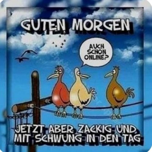 Neuer Rekord: heute bis 6.10 geschlafen! Wünsch euch einen tollen Tag 🍀🍀🍀💥