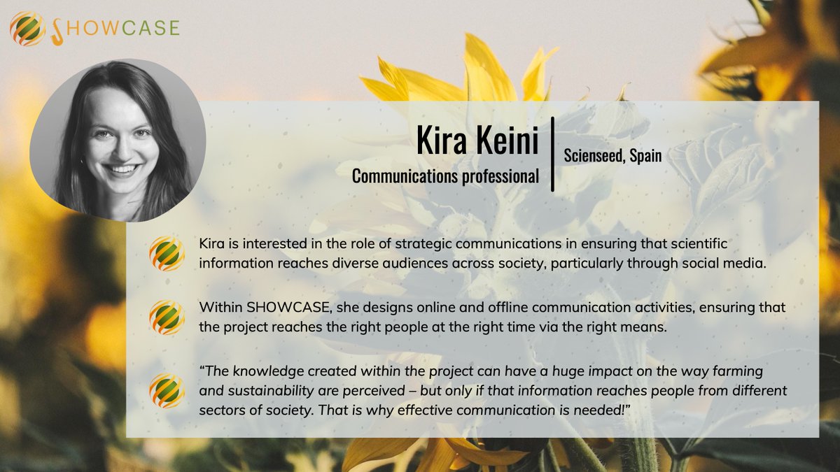 SHOWCASE_project tweet media