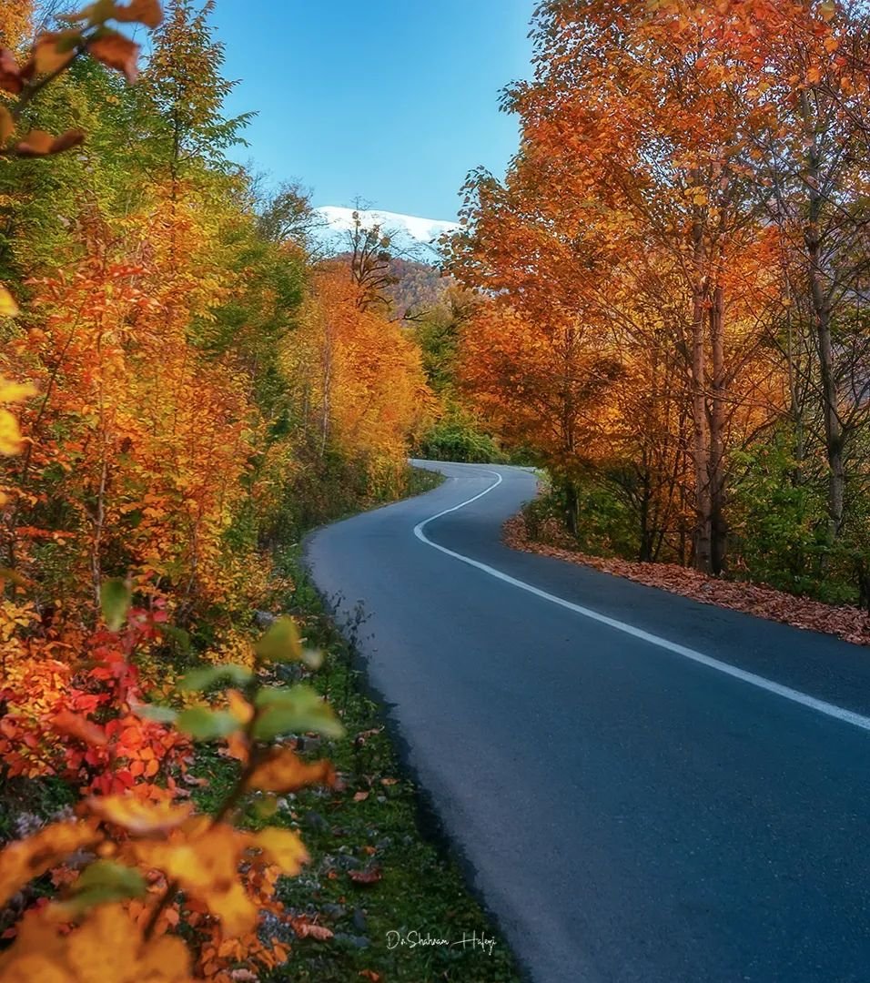 لاویج-مازندران في شمال ايران

تصوير: شهرام حافظي
#خريف #سفر #طريق #iran #autumn #fall