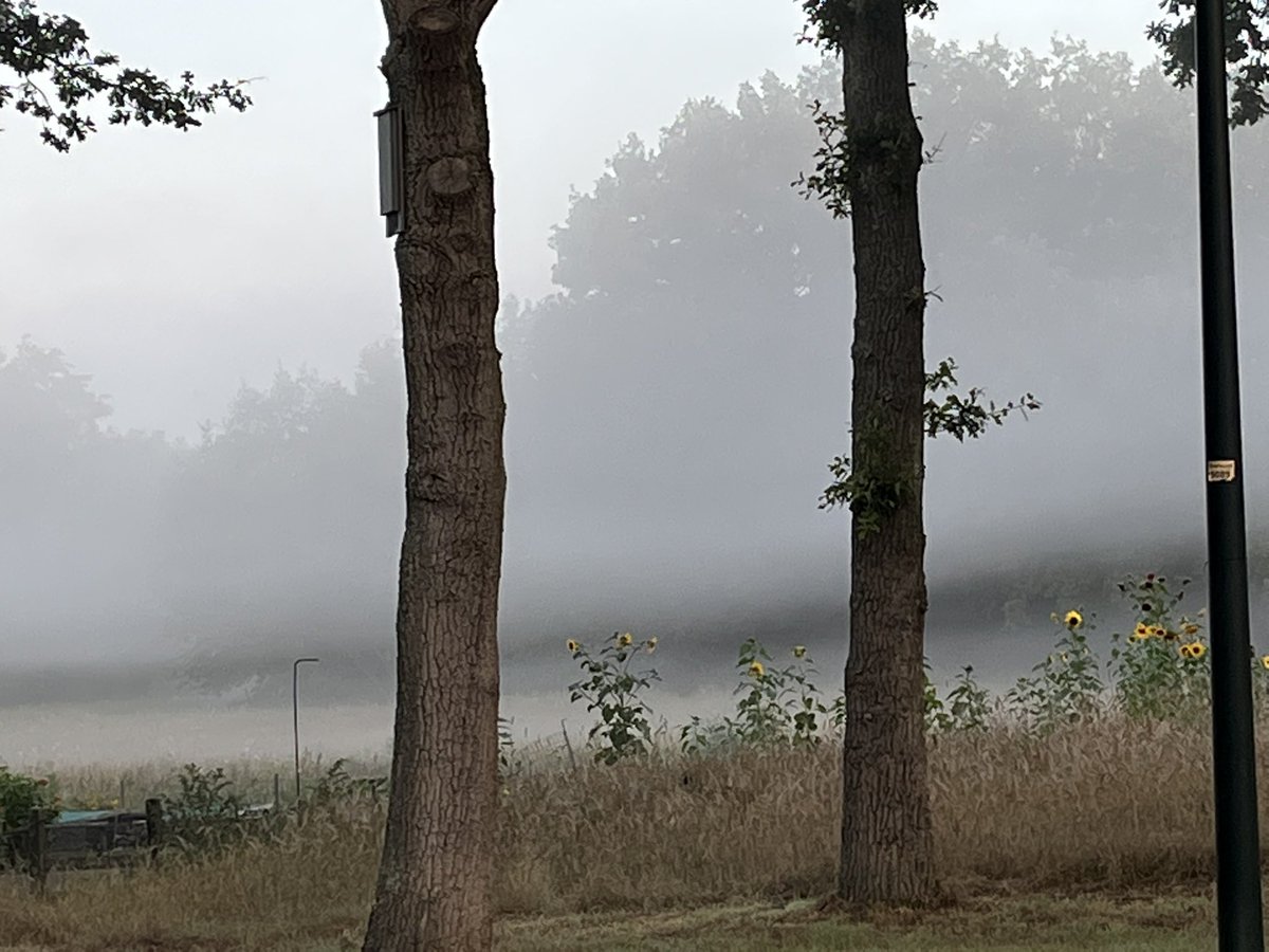 Run2DayHsum's tweet image. Prachtige natuur om in hard te lopen. Fijne dag