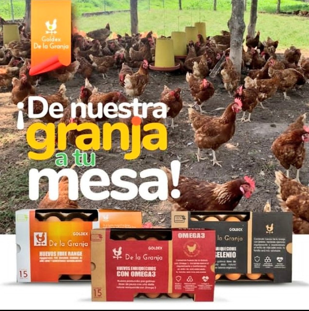 🔊 Este es un recordatorio... Si vas al super mercado 🛒 te recomendamos comprar huevos #GoldexDeLaGranja 🐔 son producidos por gallinas libres de jaula y enriquecidos con Selenio, Omega 3 y Free Range. 🥚