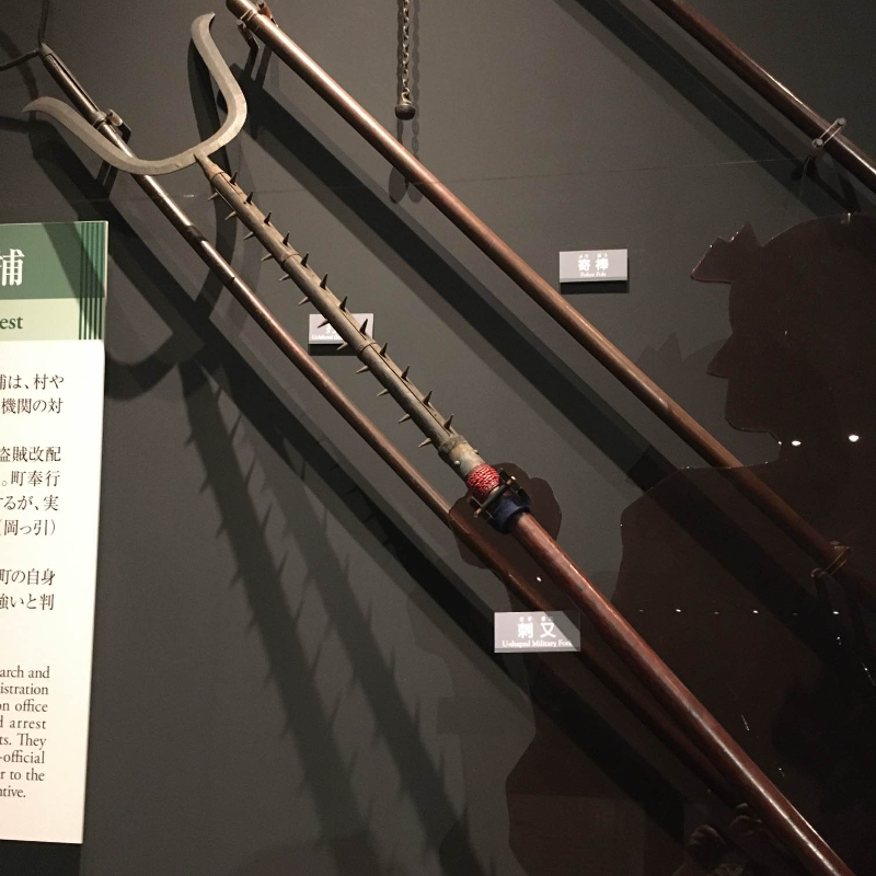明治大学博物館（Meiji University Museum） on X: 
