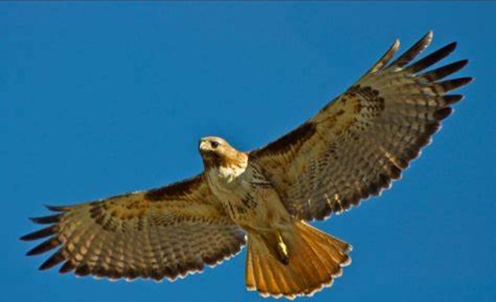 River Bookshop tweet media