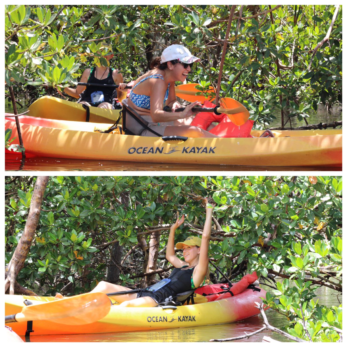 We know how much everyone loves math, so here is a math problem for you… What does high tide + mangroves equal? Mangrove limbo!!! #kayaking #mangroves #allsmiles #getoutside #girlpower #naplesflorida #kayak #marcoisland #lovefl #limbo #howlowcanyougo #math