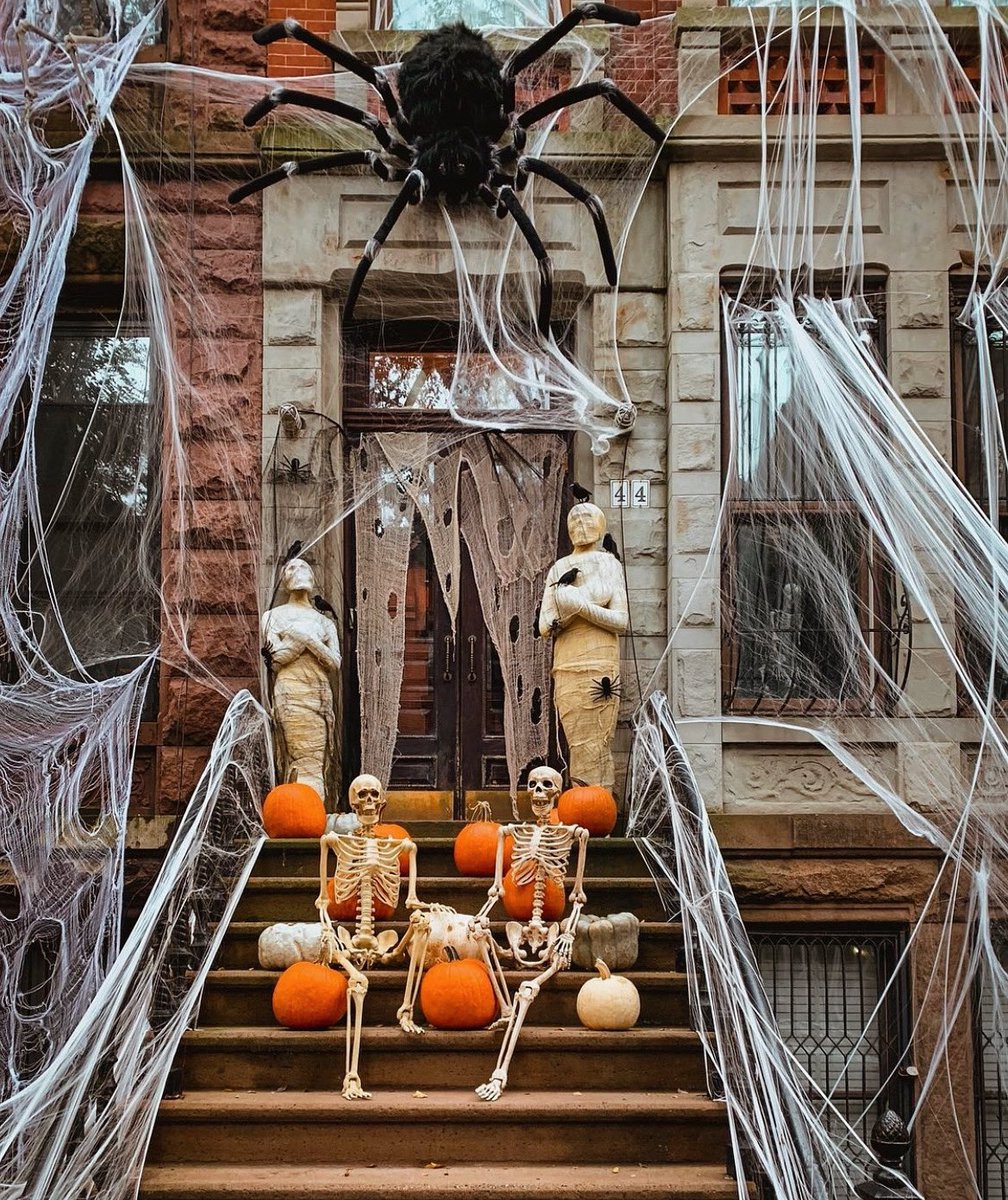 OctobersLeavess's tweet photo. October and chill? 😍🎃⚰️🕷 https://t.co/j3RWvYV0FO