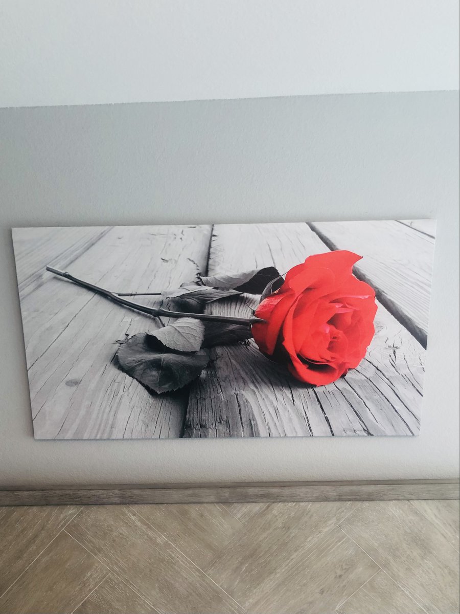 Just like every bloomed rose is beautiful so are our rooms at the Athens Central Hotel. Call and check out our rates today!!