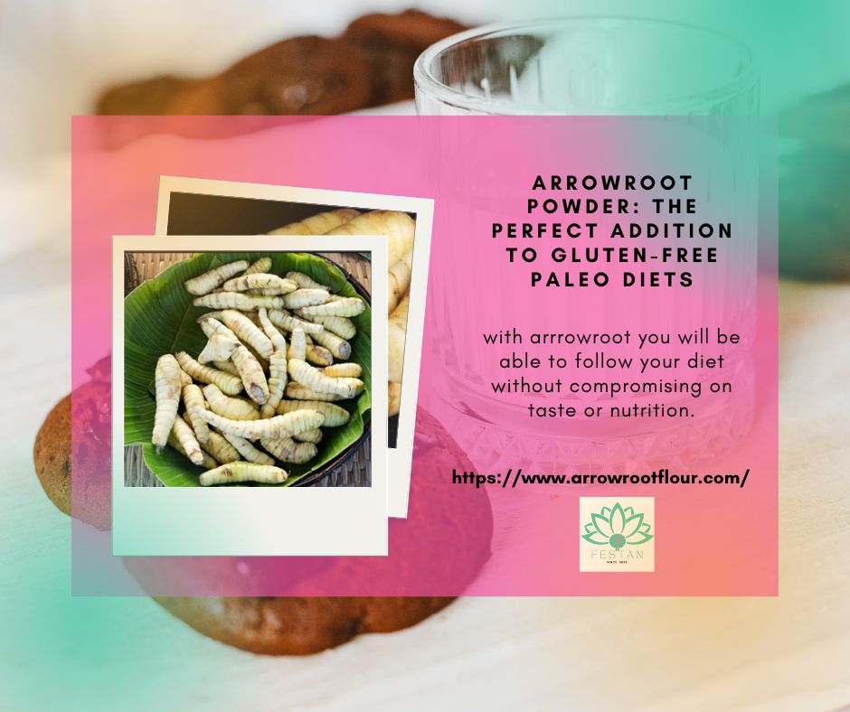 festancorp's tweet photo. 🌿A paleo diet is a dietary plan based on foods similar to what might have been eaten during the Paleolithic era, ✅You might choose to follow a paleo diet because you want to lose weight. Read the article to get 14 amazing Paleo Recipes using #Arrowroot. 
https://t.co/bZq4X5u4Yq https://t.co/Cy58dXHYeS
