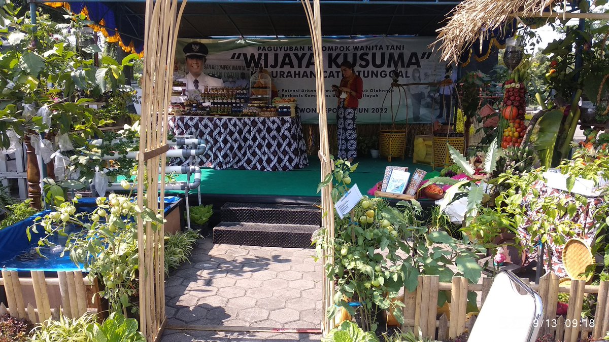 Paguyuban Kelompok Wanita Tani "Wijaya Kusuma" Kalurahan Caturtunggal <a href="/HumasCT/">Kalurahan Caturtunggal</a>