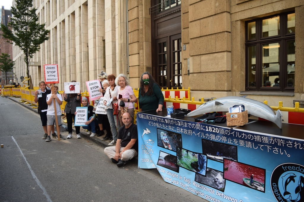 Dolphin Project tweet media