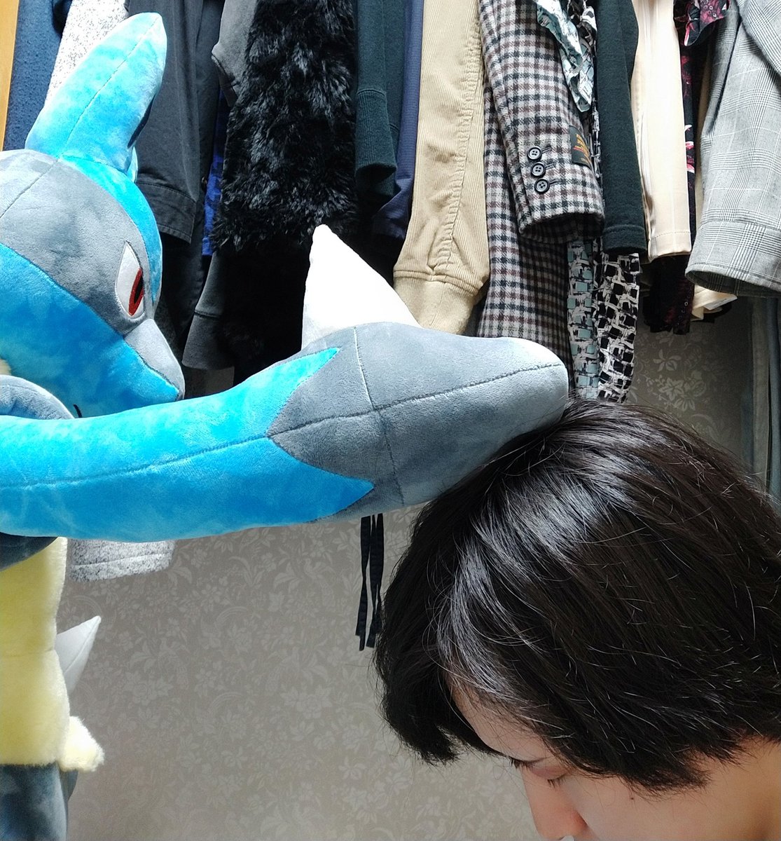 HndKzm's tweet photo. 等身大ルカリオ。
居てくれるだけで癒し。
 #ルカリオ  #等身大  #ぬいぐるみ https://t.co/nosg4xHf2W
