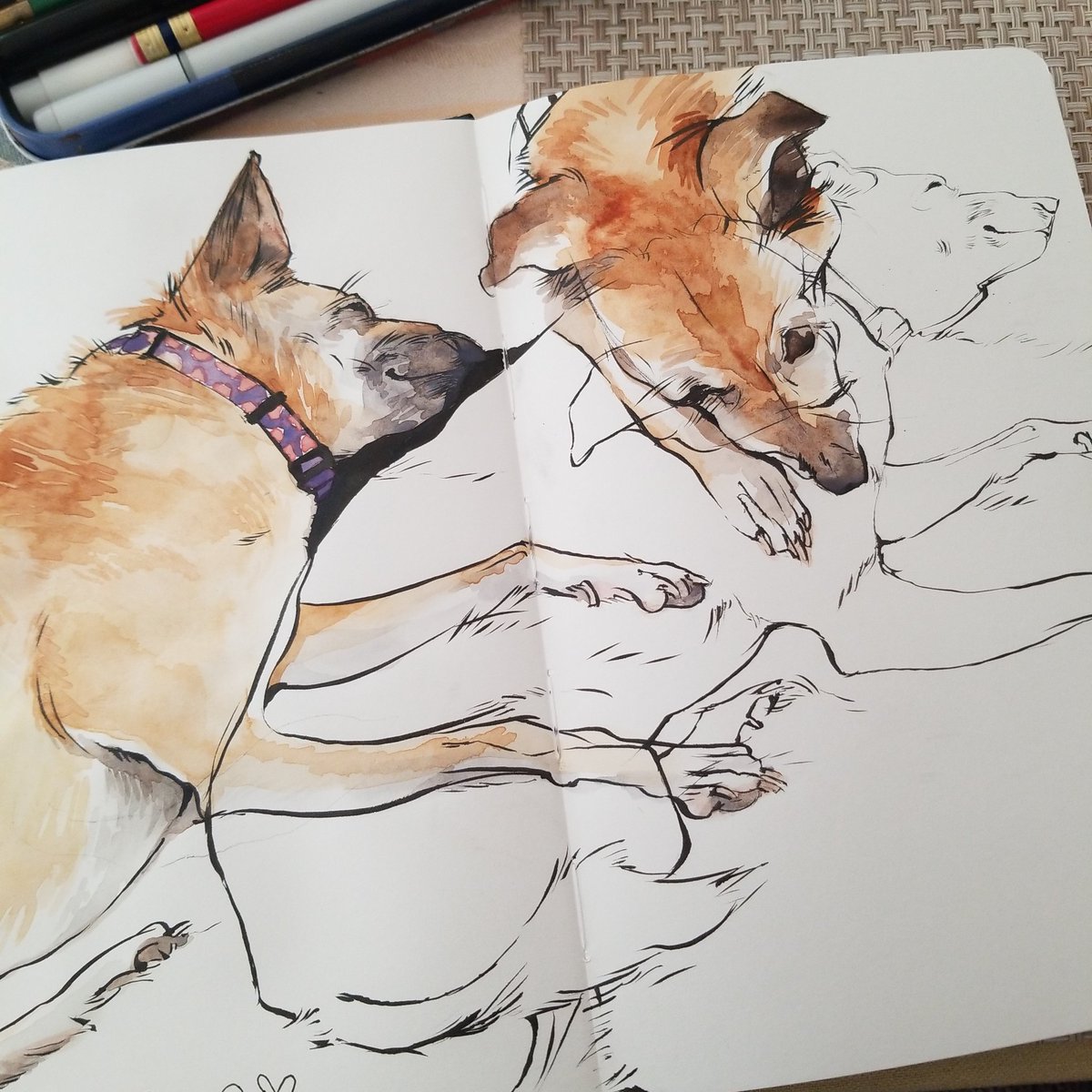 buildgrist tweet media