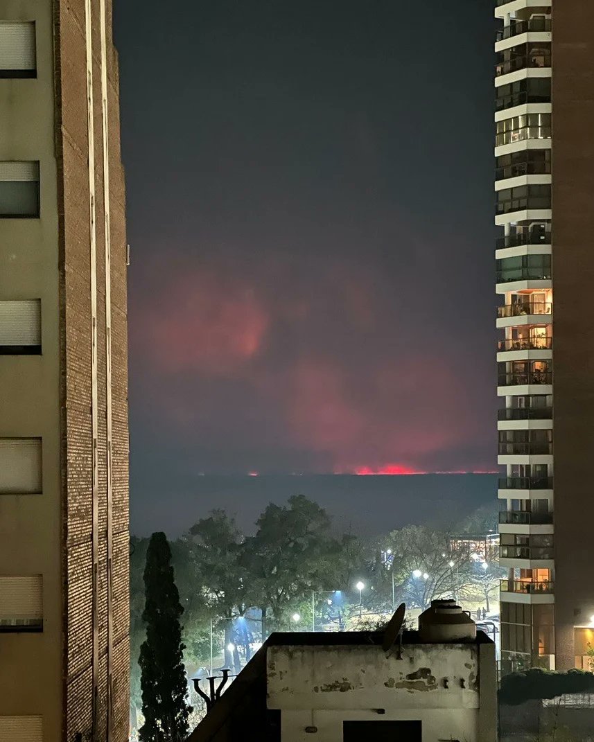 Lo de atrás no es "MORDOR"...

Es el HUMEDAL, tesoro de biodiversidad

ARGENTINA🇦🇷 TOTAL NORMALIDAD