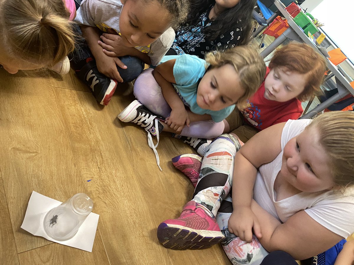 Kathy Ditto tweet media