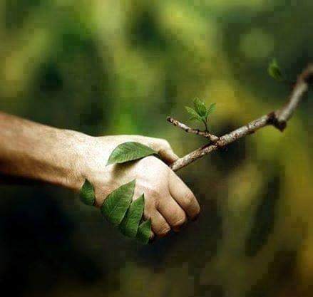 There's a theory that says that life is based on a competition, struggle &amp; fight for survival..  

When you look at the fractal character of evolution, it's totally different. It's based on cooperation among the elements in the geometry and not competition.

 Bruce Lipton