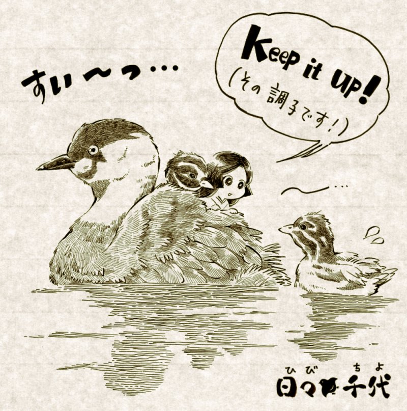 【千代姫】
滋賀の県鳥はカイツブリ。
春になると背中にヒナを乗せて子育てする姿が微笑ましい。 