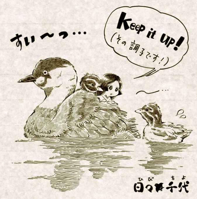 【千代姫】
滋賀の県鳥はカイツブリ。
春になると背中にヒナを乗せて子育てする姿が微笑ましい。 