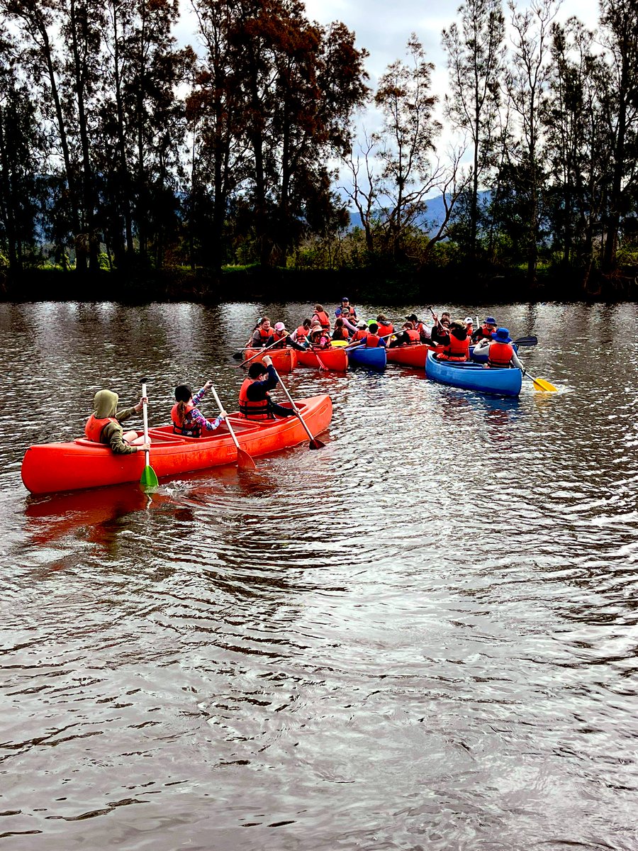 Barrack Heights Public School tweet media