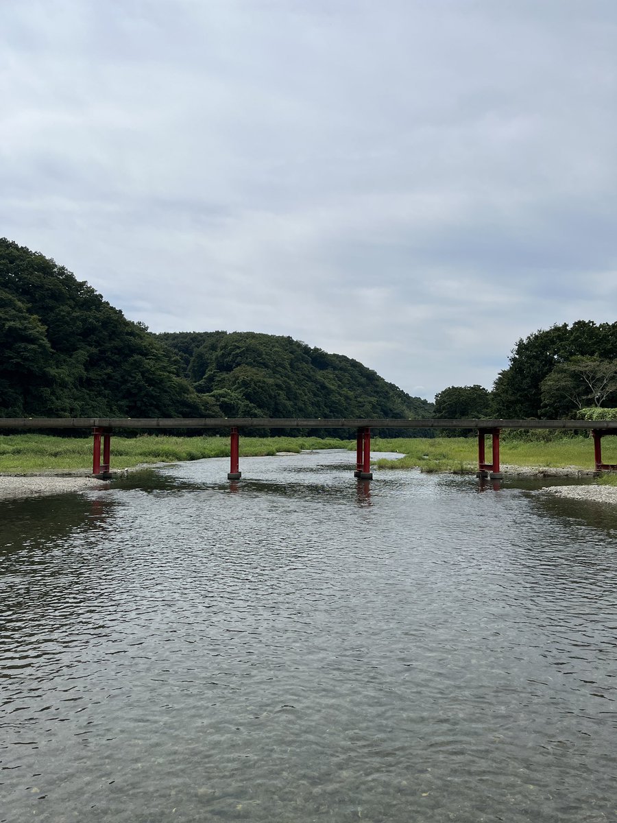 EMA0META's tweet photo. 自然は良いなぁ https://t.co/MPHoENULyf