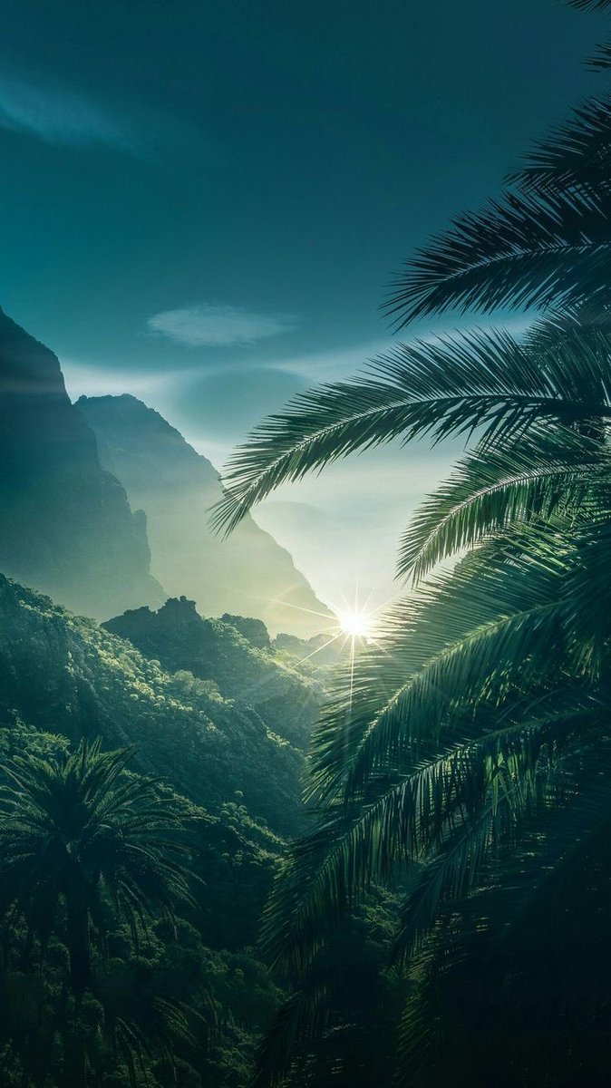 TheOutdoorsmenx's tweet photo. Hawaii https://t.co/rcxREhU6K4