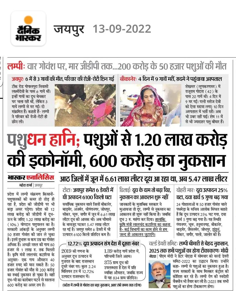 Kanhaiyadbnews's tweet photo. #SaveCowSaveRajasthan पशुधन हानि https://t.co/PpOvA6ETPr