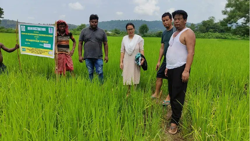 IFDC Asia (ARCHIVED) tweet media